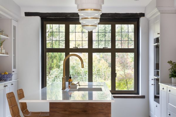 Aluco SC Exterior Steel Look Window Design (1)